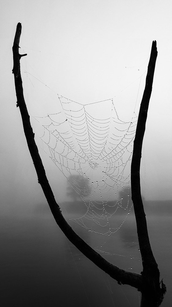 Photograph by Висхан