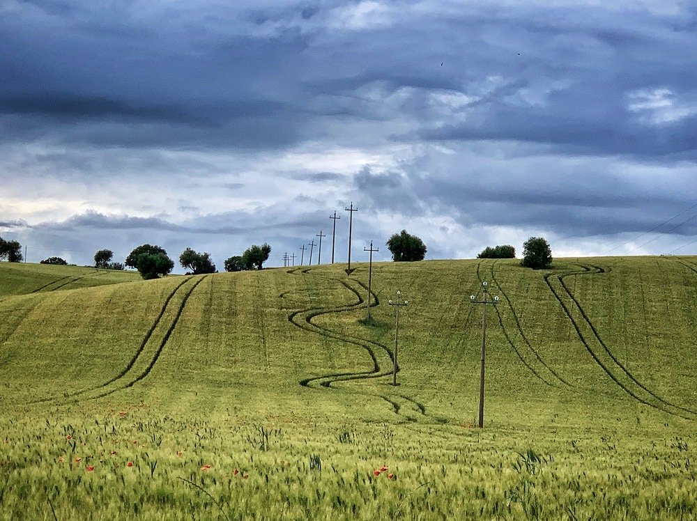 Photograph by Марина Неберекутина