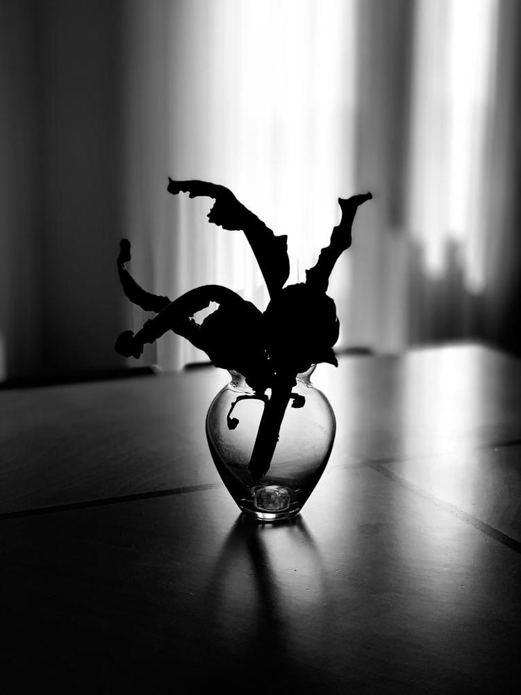 Photograph by Марина Неберекутина