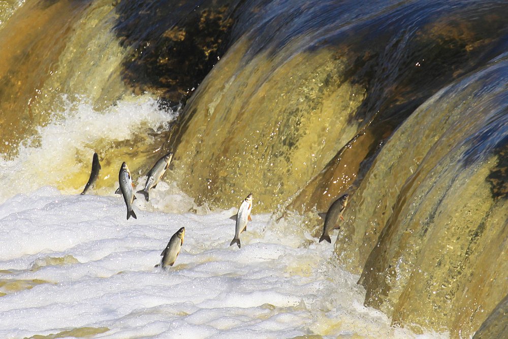 Photograph by Ivars Salmanis