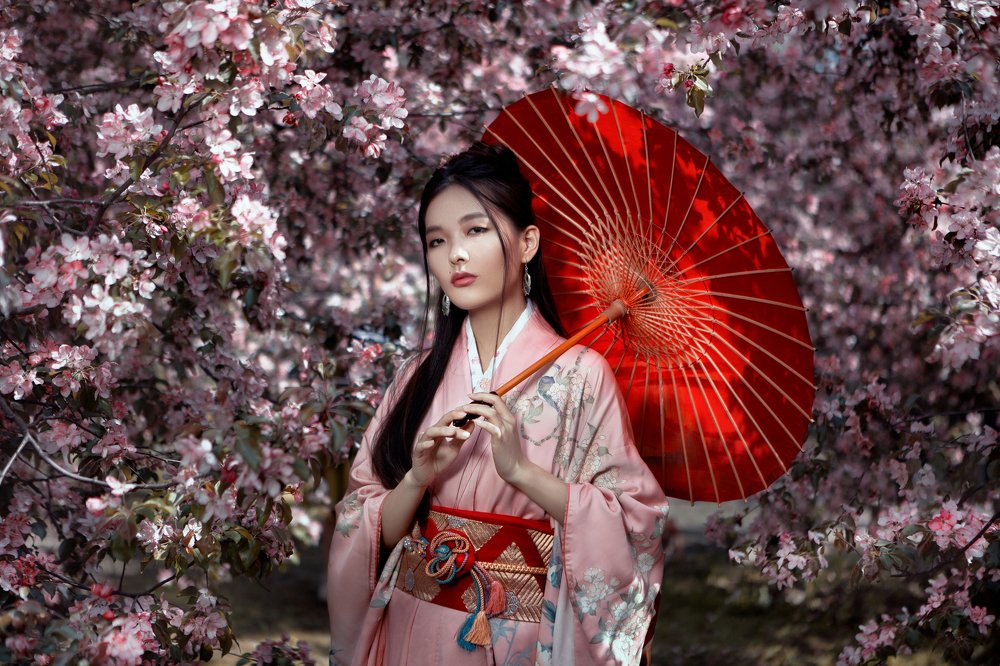 Memoirs of a Geisha