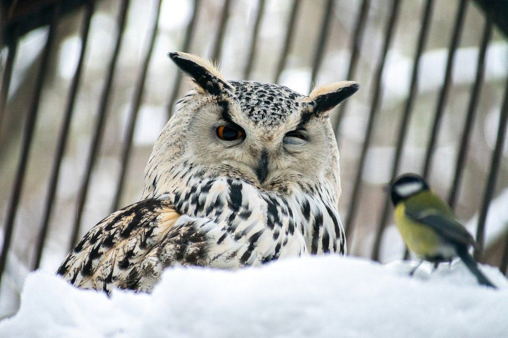 Photograph by Юлия Боровкова