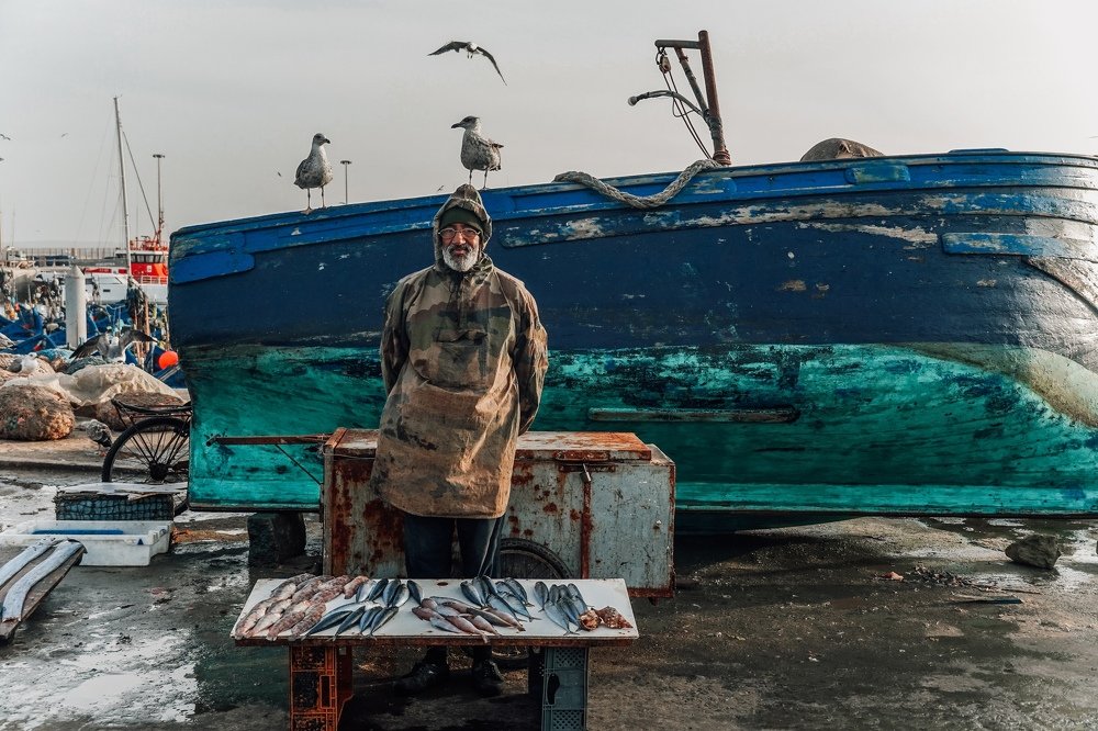 Фотография автора Татьяна Сафрошкина