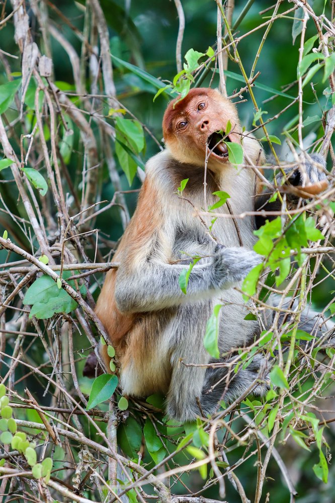 Photograph by Скворцов Аркадий