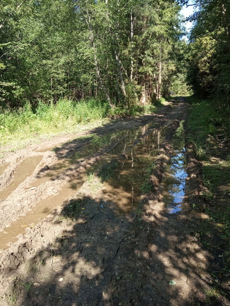 Photograph by Любовь Шаврина