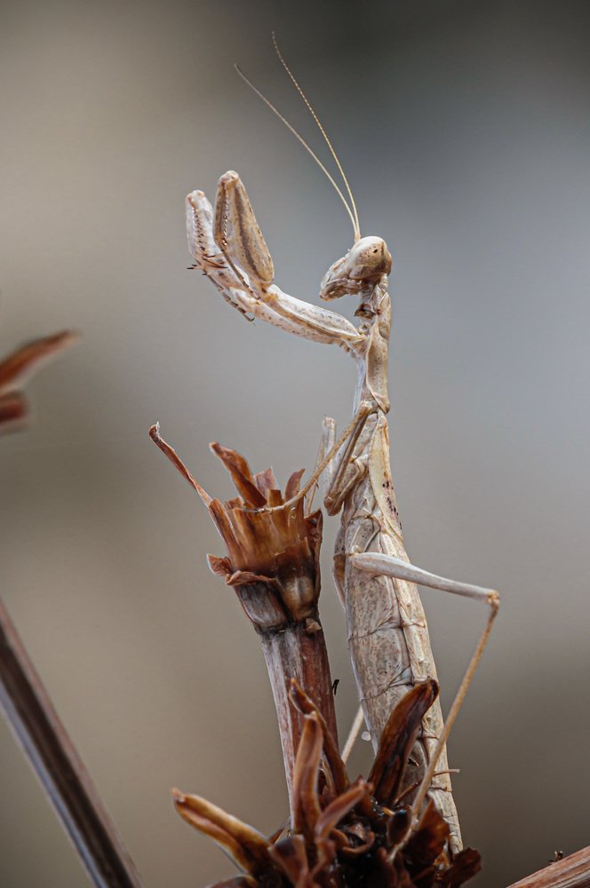 Photograph by Corrado Trelanzi