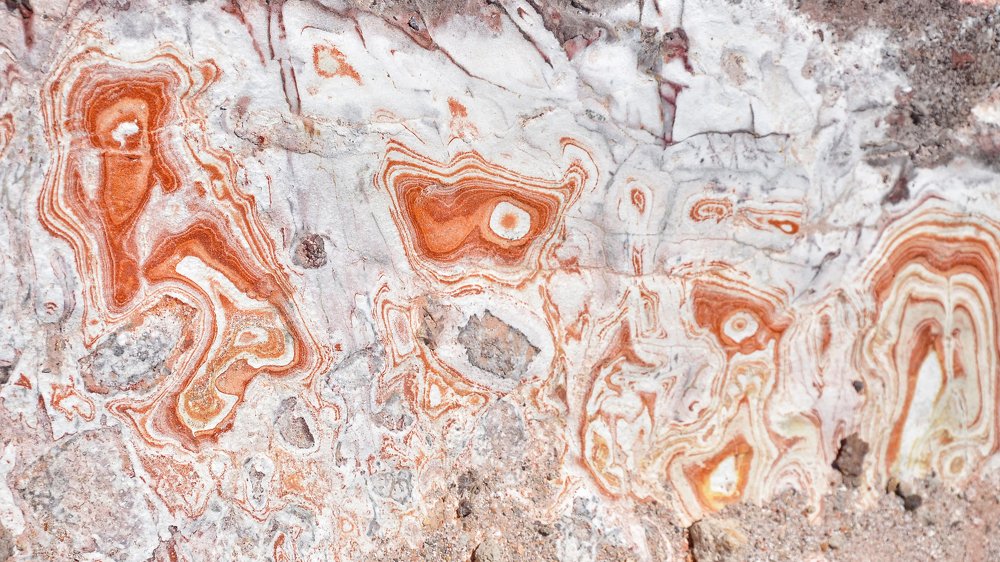 Photograph by Luca Milani