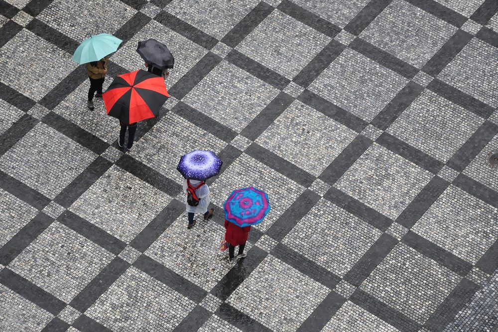 Photograph by Luca Milani