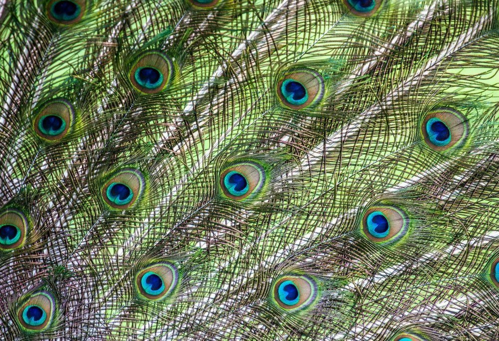 Photograph by Денис Шереметов