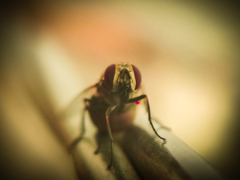 Photograph by Harsh Kushwah