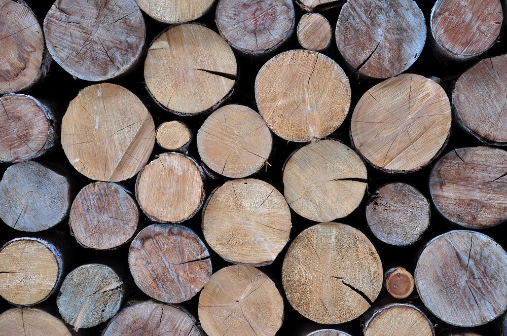 Photograph by Luca Milani