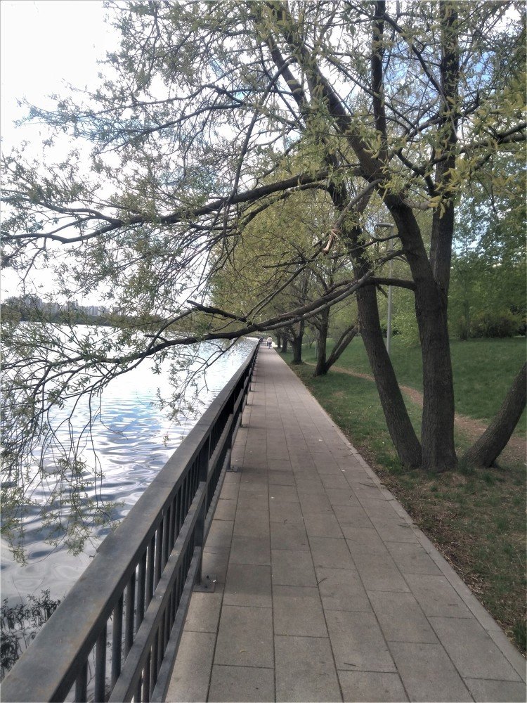 Photograph by Станислав Третьяков