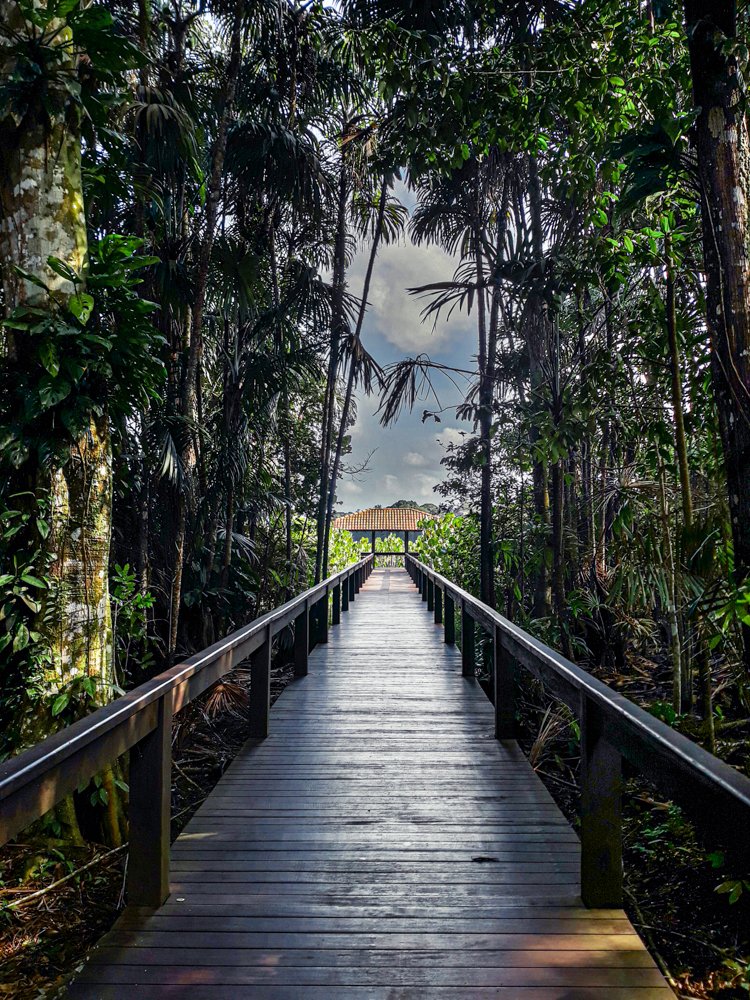 Parque do Utinga, Belém/Pará - Brasil