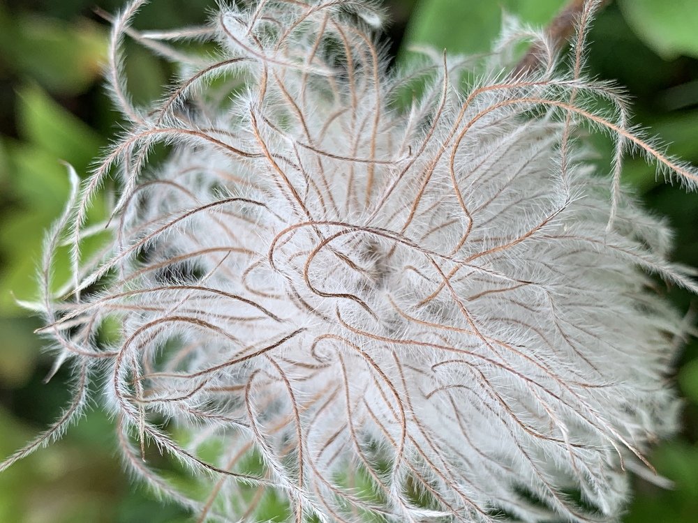 Photograph by Мария