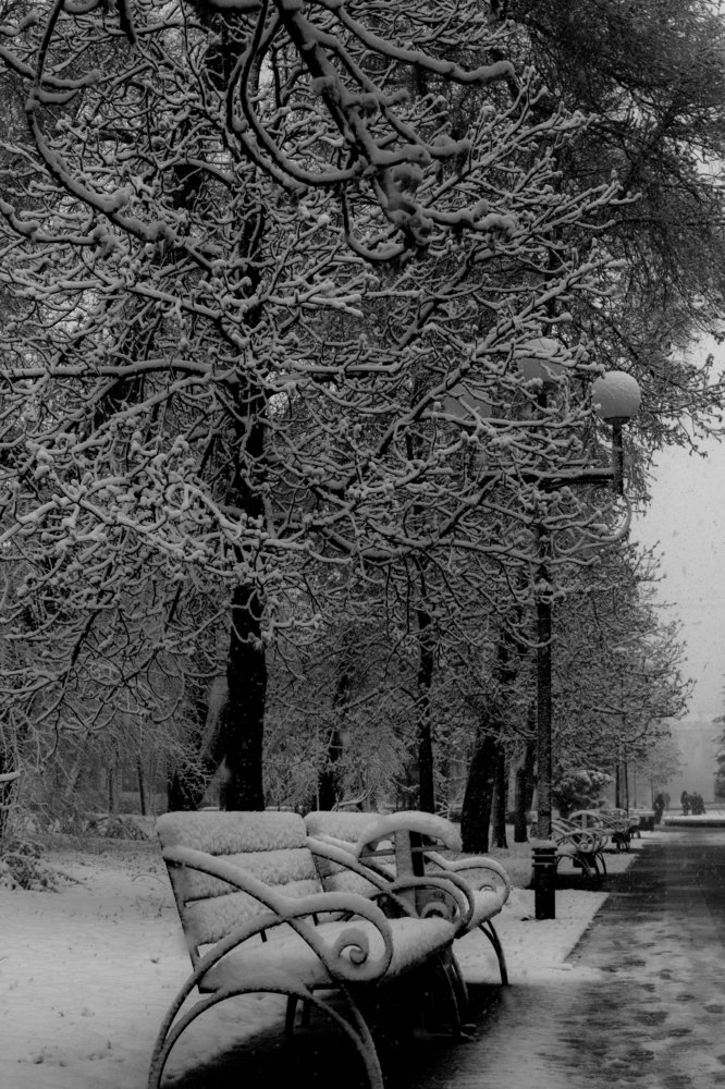 Photograph by Юлия Шумляева