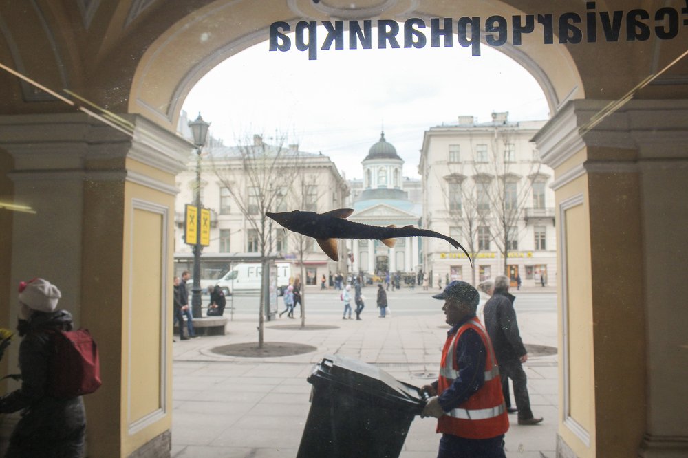 Photograph by Герман