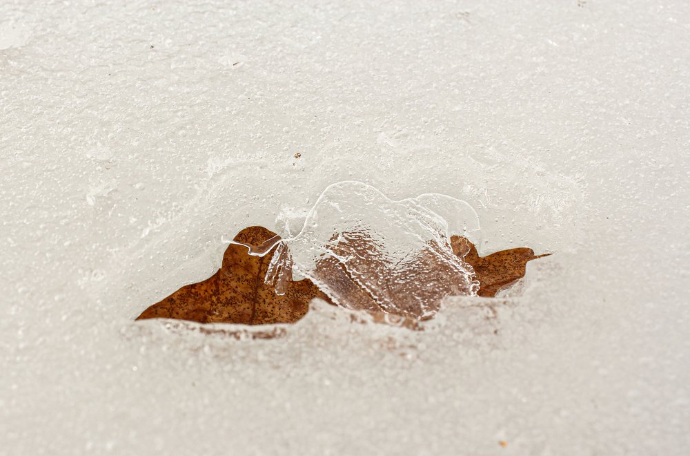 Photograph by Герман