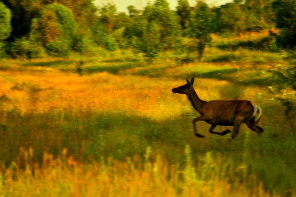 Photograph by Виталий Пилипенко