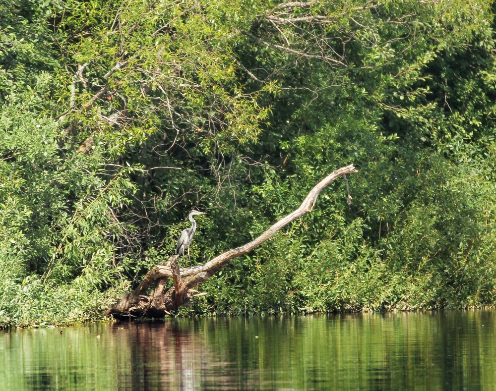 Photograph by Герман