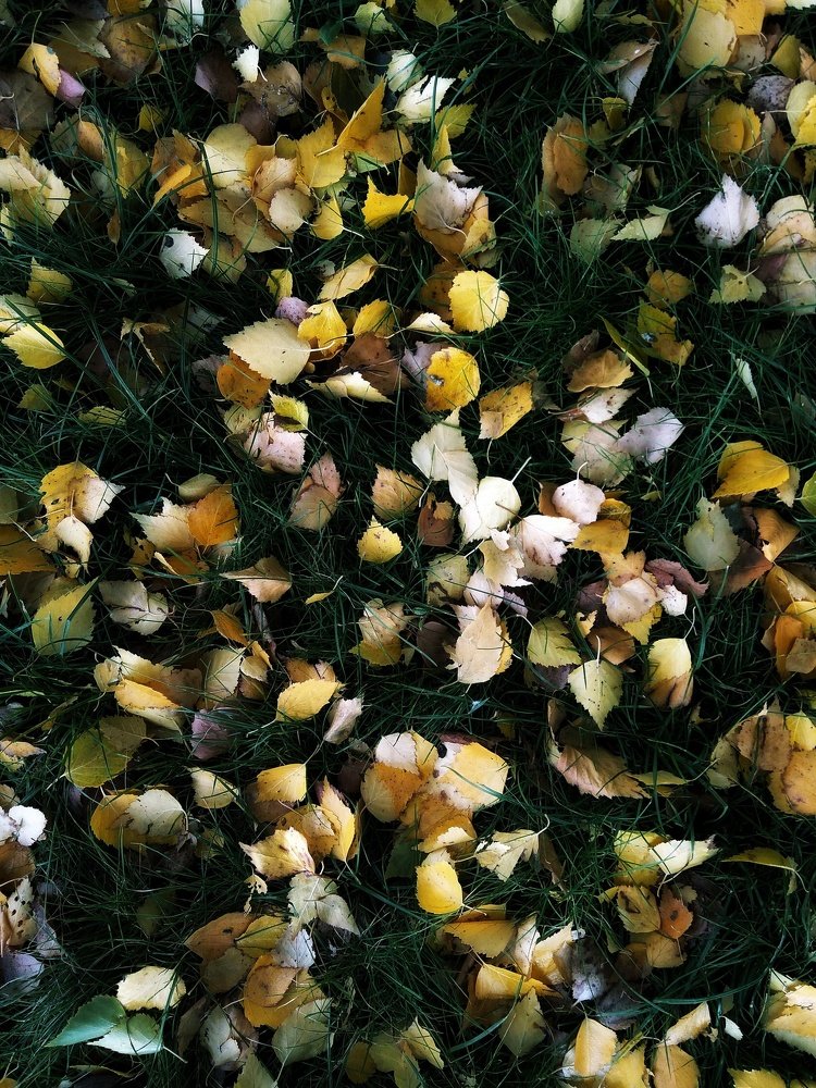 Photograph by Евгения Цой