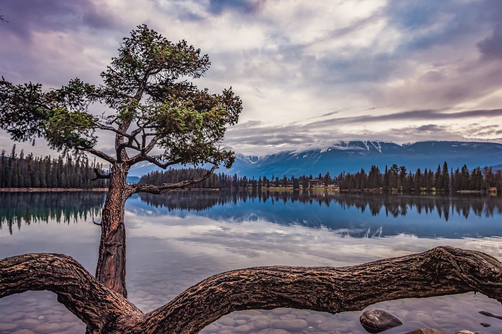 Photograph by Subrata Patra