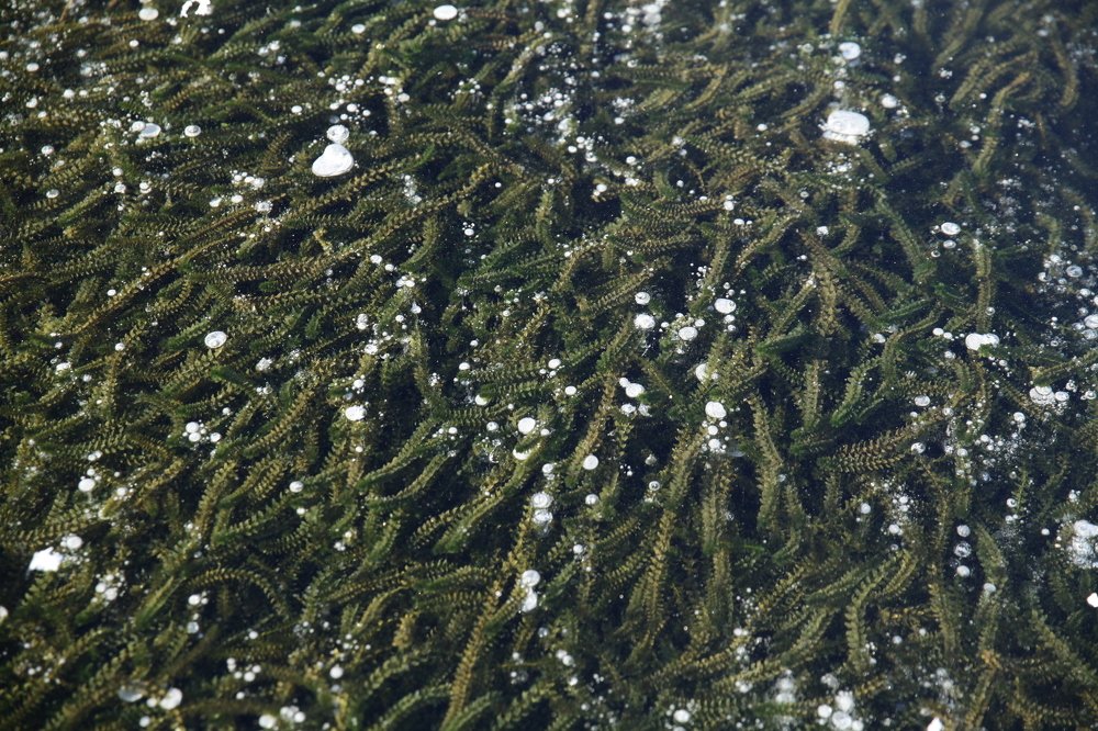 Photograph by Евгения Цой