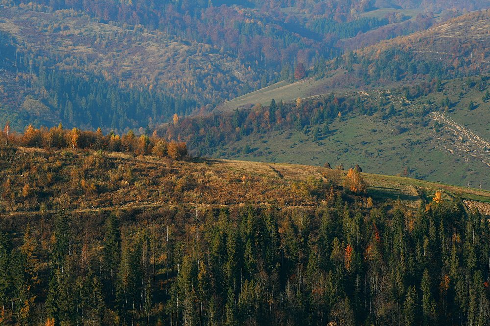 Photograph by Tereza Gaiduchok