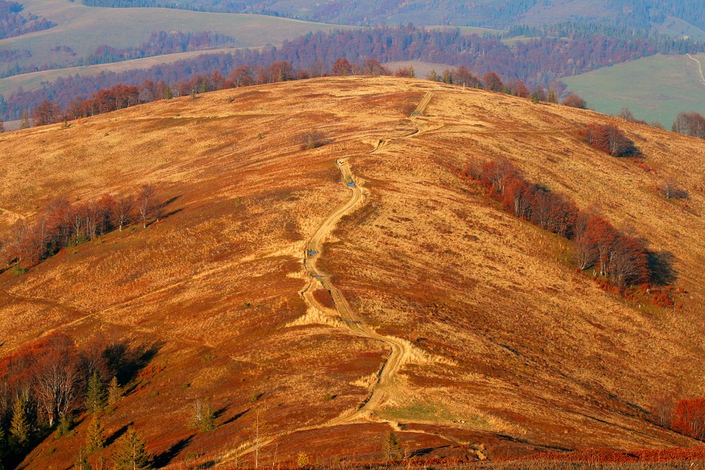 Photograph by Tereza Gaiduchok