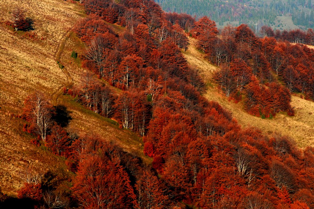 Photograph by Tereza Gaiduchok