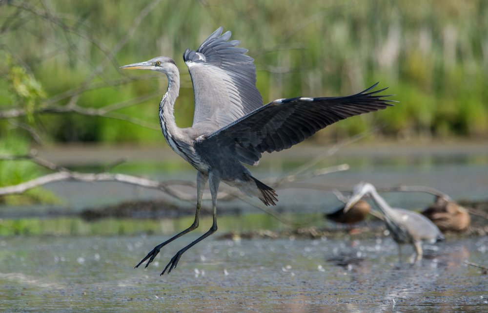 Фотография автора Татьяна Ливеровская