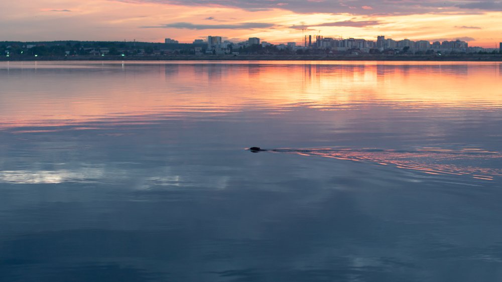 Фотография автора Мазин Леонид