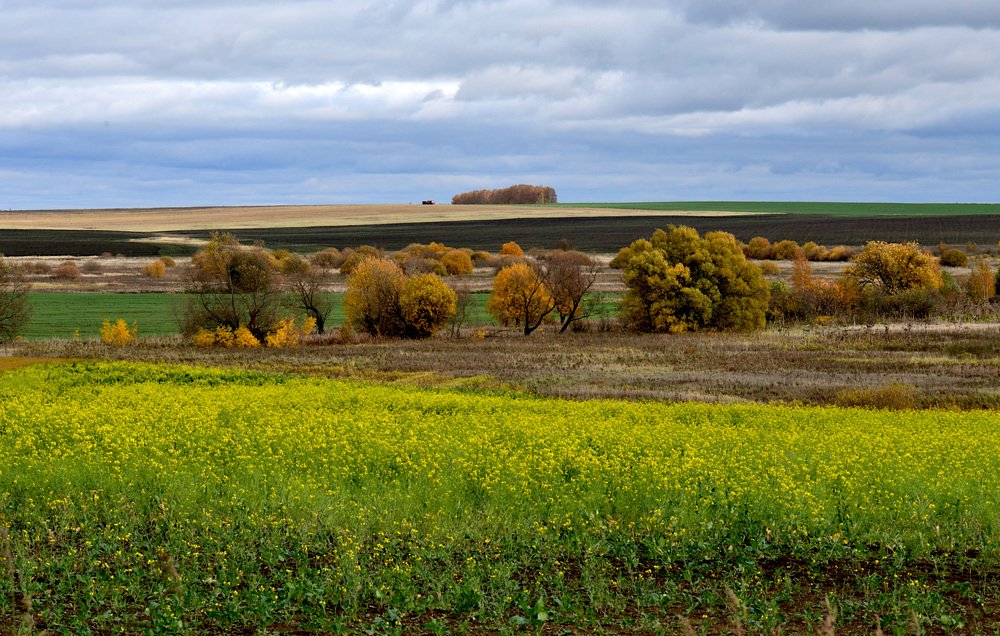 Photograph by Елена Парилова