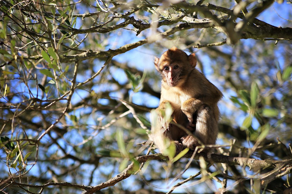 Photograph by Наталья Альбрехт