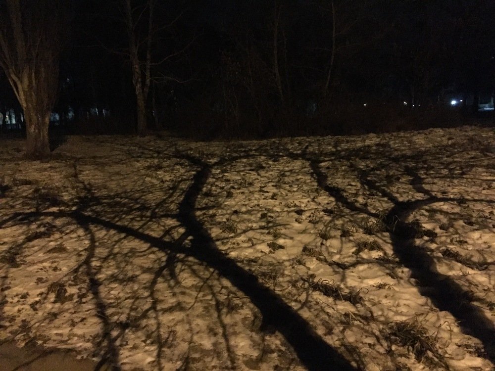 Photograph by Татьяна Гуськова