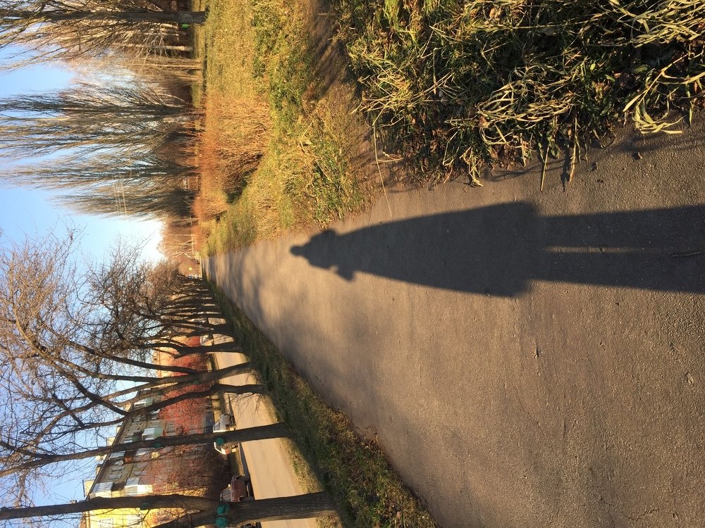 Photograph by Татьяна Гуськова