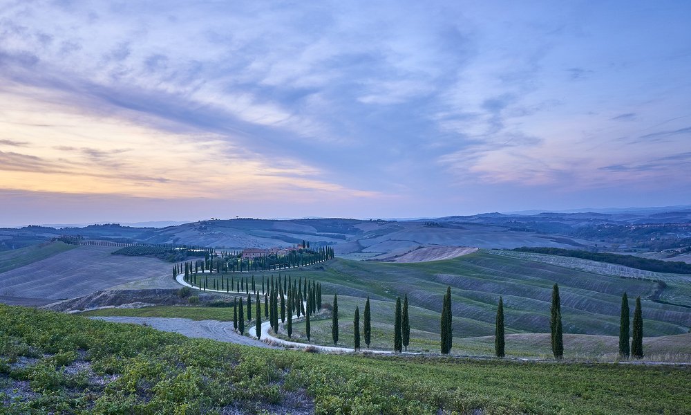 Photograph by Natalie Liedtke