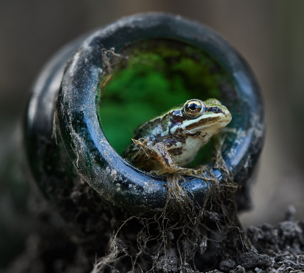 Photograph by Евгений Лукашук