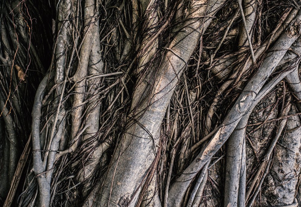 Photograph by Наталия Мостовая