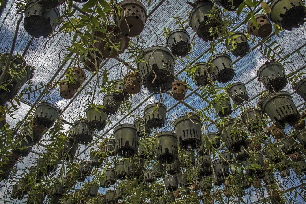 Photograph by Наталия Мостовая