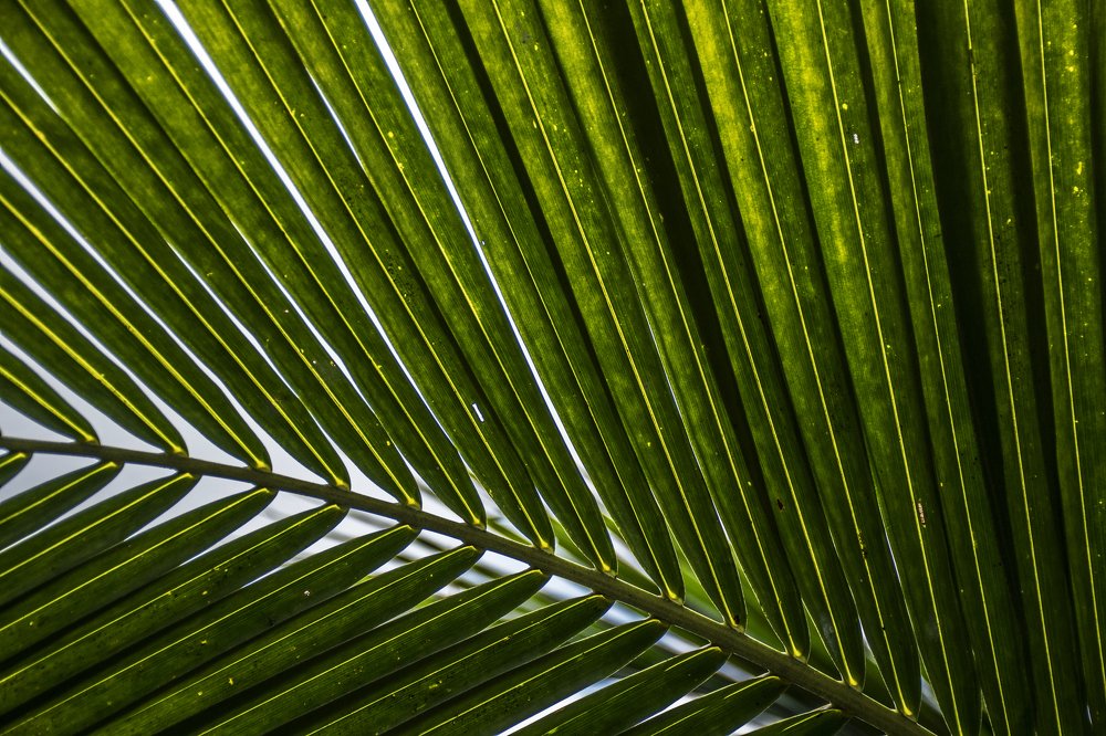 Photograph by Наталия Мостовая