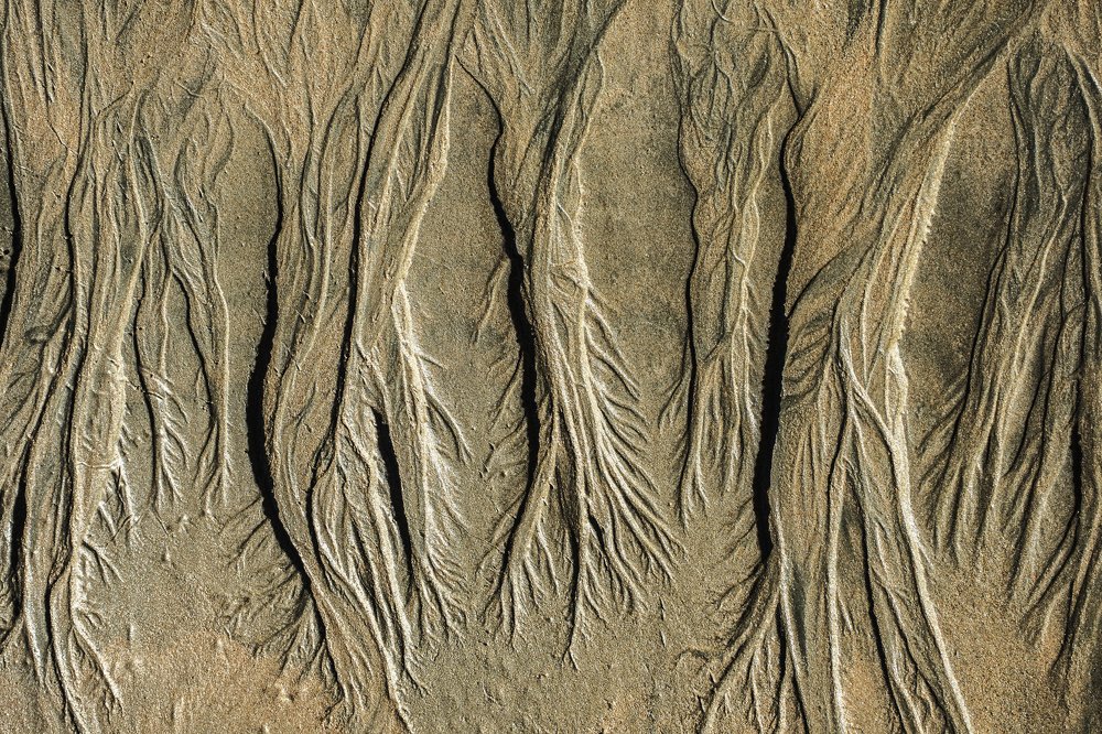 Photograph by Наталия Мостовая