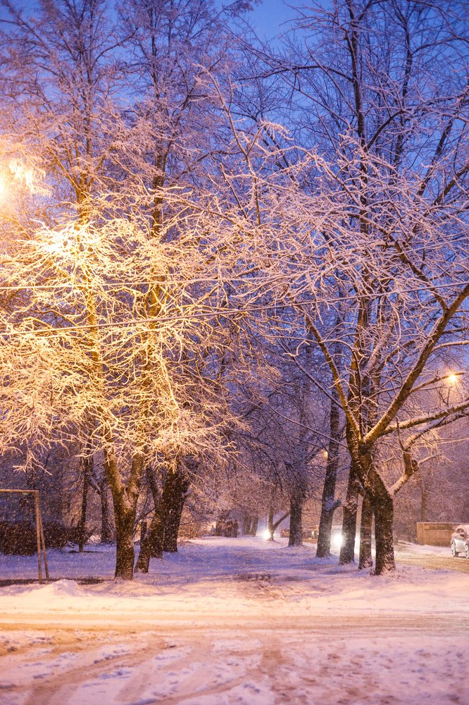 Photograph by Делана Романова