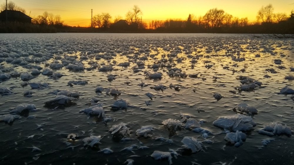 Сахарный пруд