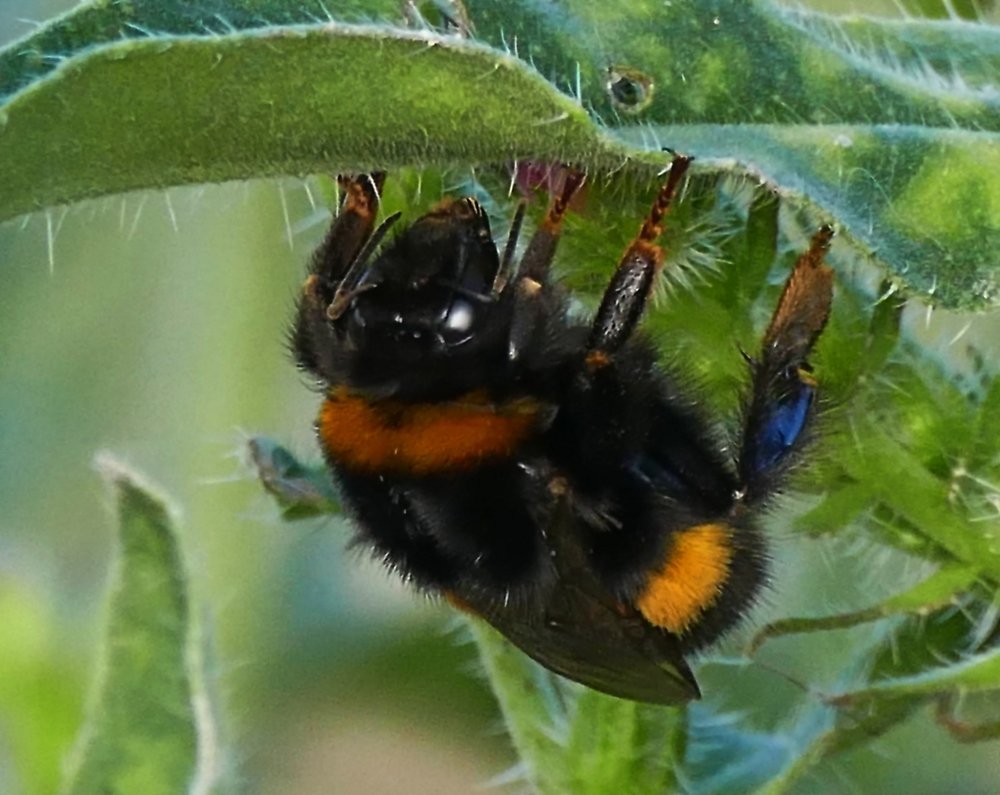 Photograph by Наталья