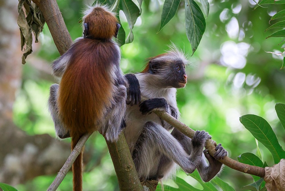 Photograph by Олег Милеев (Каминцев)