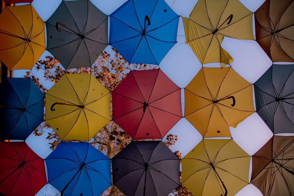 Photograph by Ognyan Levashki