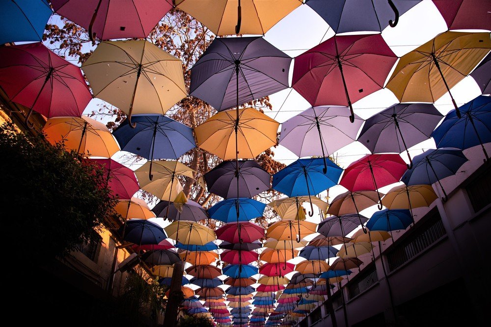 Photograph by Ognyan Levashki