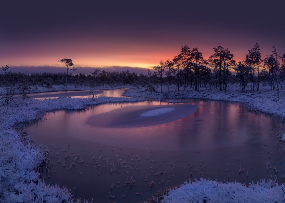 Photograph by Pavel Vaschenkov