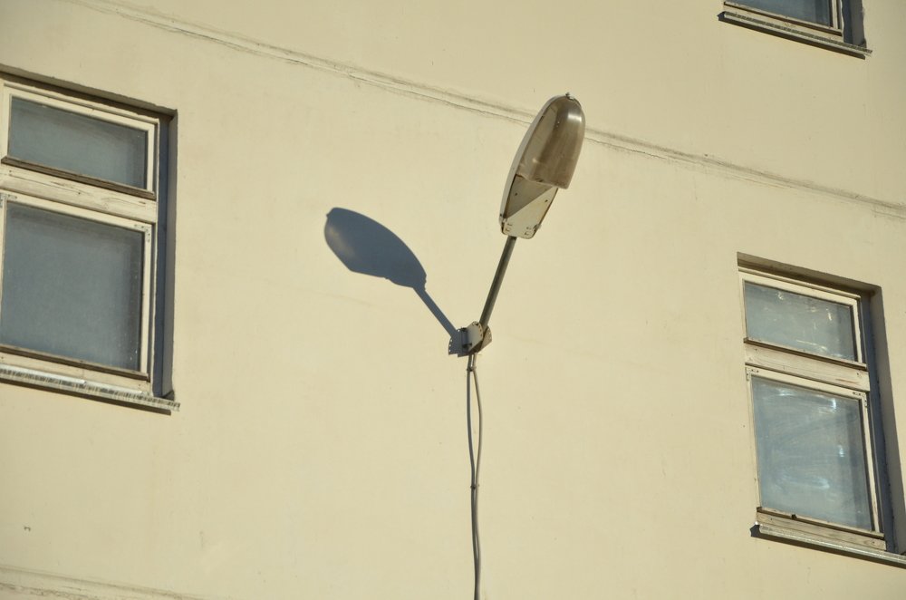 Фотография автора Алина Черняева