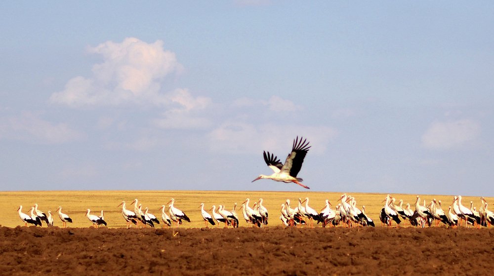 Photograph by Aeromast